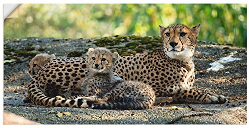 ARTland Wanddeko Wandtattoo selbstklebende Vinylfolie 60x30 cm Gepard Tiere Afrika Safari Savanne Natur Landschaft S9HY