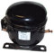 Easyricambi Motore COMPRESSORE NECCHI A11RV per FRIGO - per R504 R22 R507 CC 11.11 - Fornito Senza Copertura Parte ELETTRICA