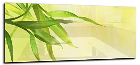 Canvasfly 100x40 Wandpaneele für Küche Deko-Spritzschutz für Küchenrückwand Glas Bilder Gehärtet Küchen-Deko Glasplatte aus Vorgespanntem Glas Küchenrückwandplatte Blatt