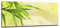 Canvasfly 100x40 Wandpaneele für Küche Deko-Spritzschutz für Küchenrückwand Glas Bilder Gehärtet Küchen-Deko Glasplatte aus Vorgespanntem Glas Küchenrückwandplatte Blatt