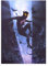 Displate - Poster aus Metall - Einfache Montage ohne Bohren - DC Comics - Classic Heroes Posters - Catwoman - Größe M - 32x45cm Matt