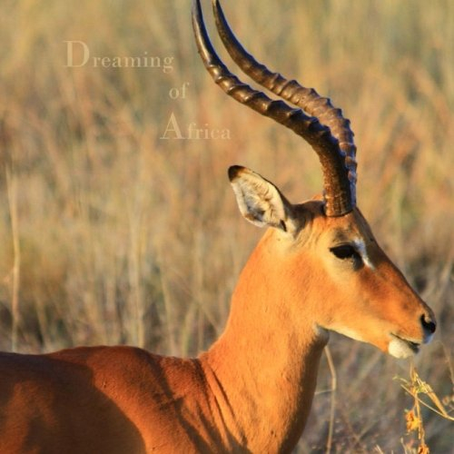 Notizbuch / Tagebuch - quadratisch - Dreaming of Africa: sei UNIQUE, schreibe SQUARE