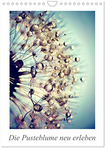Die Pusteblume neu erleben (Wandkalender 2025 DIN A4 hoch), CALVENDO Monatskalender: Mit 12 spektakuläre Makroaufnahmen der Pusteblume ist dieser ... Blickfang an der Wand. (CALVENDO Natur)
