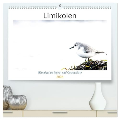 Limikolen - Watvögel an Nord- und Ostseeküste (hochwertiger Premium Wandkalender 2026 DIN A2 quer), Kunstdruck in Hochglanz: Häufige und seltenere Vögel am Spülsaum der Küste (CALVENDO Natur)