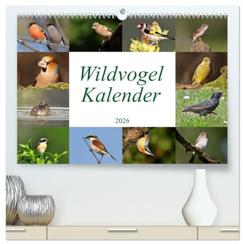 Wildvogelkalender (hochwertiger Premium Wandkalender 2026 DIN A2 quer), Kunstdruck in Hochglanz: Das ideale Geschenk für Vogelliebhaber (CALVENDO Tiere)
