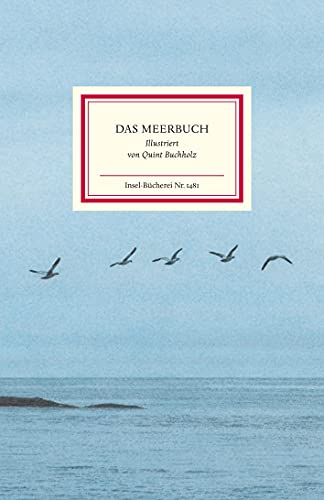 Das Meerbuch: Maritimes Geschenkbuch mit Bildern von Quint Buchholz (Insel-Bücherei)
