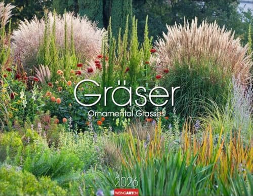 Gräser Kalender 2026: Jahres-Wandkalender 2026 mit abwechslungsreichen Aufnahmen von Ziergräsern. Prachtvolle Bilder von schönen Gärten im Wandel der ... Hochwertiger Fotokalender (44 x 34 cm)