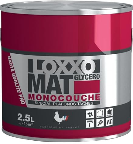 LOXXO - Loxxo Peinture Glycéro - Spécial Plafonds tachés - Monocouche - Blanc Mat - Conditionnement 2,5L, Couleur BLANC