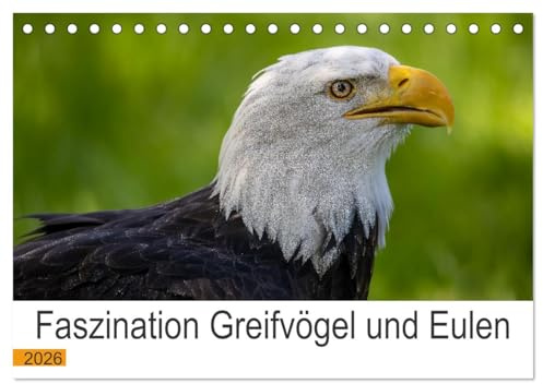 Faszination Greifvögel und Eulen (Tischkalender 2026 DIN A5 quer), CALVENDO Monatskalender: Die atemberaubenden Könige der Lüfte (CALVENDO Tiere)