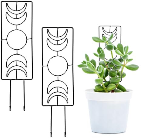 Singwow 2 Pack metal indoor plant trellis, small plant supports for indoor plants, garden trellis for houseplants (2 pack)