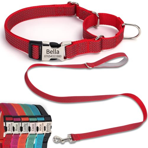 SEOUGEE Martingale Hundehalsband personalisiert und Leinen-Set, reflektierendes Nylon Anti-Würge-Hundehalsbänder und Leine mit individuell gravierter Schnalle, Spaziergang und Training für kleine