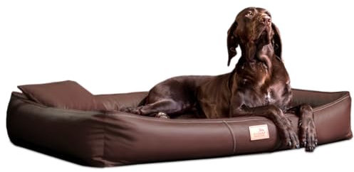 tierlando® Orthopädische Hundematratze Clifford Latex Ortho Kunstleder Anti-Haar Hundebett (CFF4-LL- L 100 cm, 01 Braun)