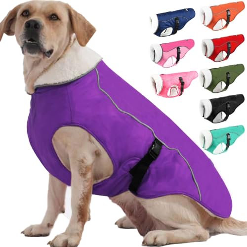 EMUST Winterhundemantel, wasserdicht, verstellbarer Hundemantel, für kleine/mittlere bis große Hunde, für den Winter, Lila, L