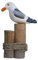 ART-CRAFT Möwen-Skulptur auf nostalgischem Strandgut-Poller - Filigrane Holz-Deko im Vintage-Look 21 cm hoch