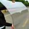 Transparente Polycarbonat-Dachplatte, 4 mm dick, schlagfest, Tageslichtfolie für Pergola, Carport, Gewächshaus, inklusive Schrauben, 1 m x 4 m Größe