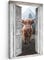 MuchoWow© Bilder 60x90 cm Wohnzimmer Deko Modern Wandbild Foto auf Leinwand Bild Schlafzimmer Room Decor Geschenke Schottische Highlander - Kuh - Landleben - Fensterblick