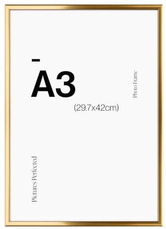 Modern Gold A3 Photo Frame for A3 (29.7 x 42cm) Photos or Pictures, Plexi Glass, Wall Mounted Landscape or Portrait