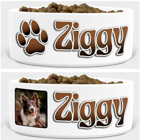 Personalised Dog Bowl – Custom Pet Name, Photo & Colour Options – Ceramic Food/Water Dish – 3D Style – Multiple Fonts & Layouts