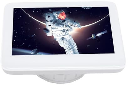 WiFi Electronic Telescope Eyepiece, 4K Video Recording Wireless Digital Telescope Eyepiece Camera with 5in Screen, for 30MM to 66MM Eyepiece, for Bird Watching Concert