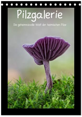 Pilzgalerie - Die geheimnisvolle Welt der heimischen Pilze (Tischkalender 2026 DIN A5 hoch), CALVENDO Monatskalender: Herrliche Pilzaufnahmen im Hochformat (CALVENDO Natur)