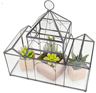 ChengBeautiful Terrarium Kupferrahmen Stabile Glaskugel Moss Luft Pflanzer Deckel Farne (Color : Black, Size : 35.6x17x37cm)