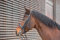 Kieffer Kandarenzaum Kieffer Ultrasoft®