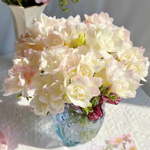 3 pcs freesien bio zwiebeln - winterlinge zwiebeln winterhart mehrjährig, blumenzwiebeln winterhart dachbegrünung stauden winterhart mehrjährig blumenzwiebeln mehrjährig