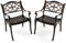 GIANTEX 2er Set Gartenstuhl, Garten Bistrostuhl wetterfest aus Aluminiumguss, Garten Essstuhl Balkonstuhl Terrassenstuhl ergonomisch mit Rücken- & Armlehnen, Gartensessel Antik bis 150kg belastbar (B)