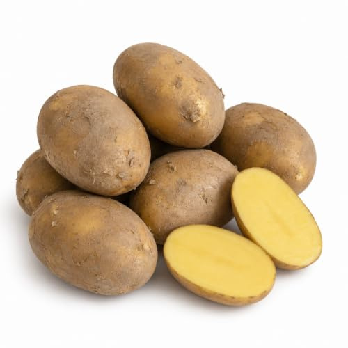 Kartoffel Belmonda deutsche Speisekartoffeln vorwiegend festkochend neue Ernte 2026 halbmehlig 10 KG