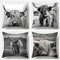 Teephei 4 Stück Kissenbezug,Kuh Modern Samt Kissenbezüge Quadrat Kissenhülle Couchkissen mit Unsichtbarem Reißverschluss Dekorative für Sofa Schlafzimmer Zuhause Auto Outdoor 45x45cm