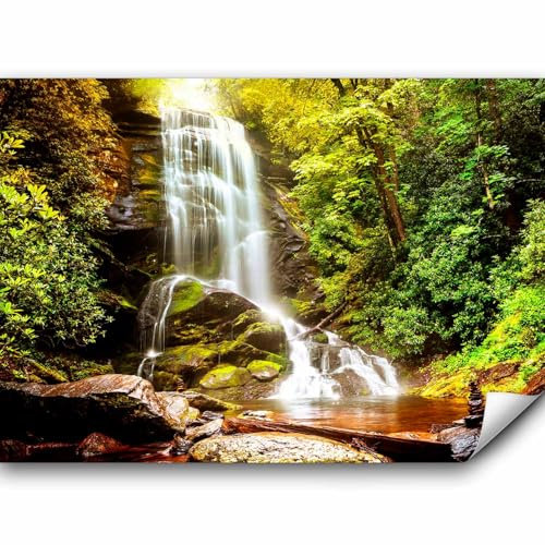 murando PREMIUM Papier peint Cascade 200x140 cm Décoration Murale XXL Poster Tableaux Muraux Tapisserie Photo Trompe l'oeil Nature Paysage Foret Lac c-C-0446-a-a