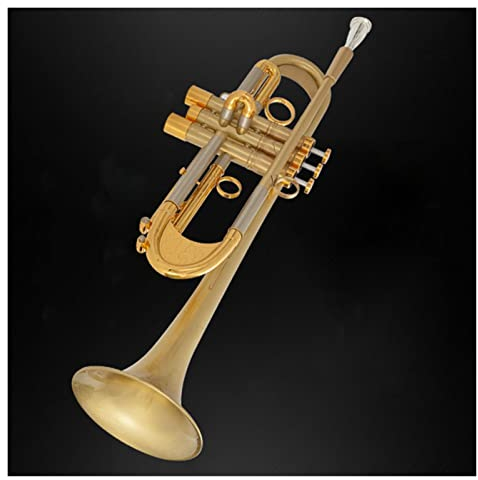 Student Trompete Professionelle Trompete B-Taste Standard-Trompete Instrument Gewichteter Messing-Röhrenkörper, Weiße Kupfer-Voice-Change-Röhre Mit Koffer Trompete