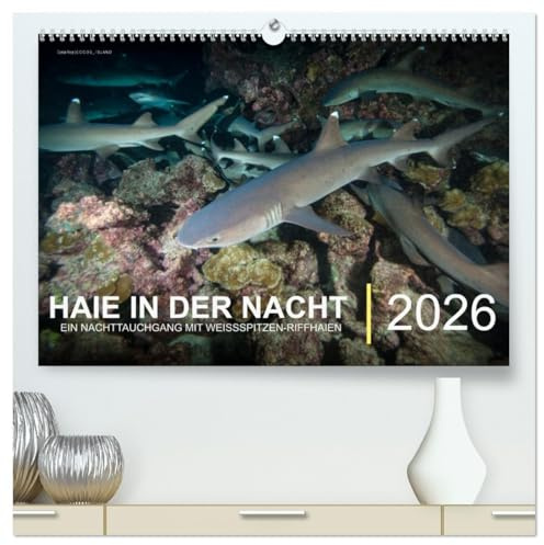 Haie in der Nacht (hochwertiger Premium Wandkalender 2026 DIN A2 quer), Kunstdruck in Hochglanz: Ein Nachttauchgang mit Weissspitzen-Riffhaien (CALVENDO Tiere)