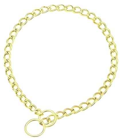 Gold Choker Halsband für Hunde, Metall Schlupf Kettenhalsbänder für Hunde Heavy Duty Ausbildung Martingal Hundehalsbänder für XXS XS Klein Mittel Groß Rasse Haustiere Jungen Mädchen, S