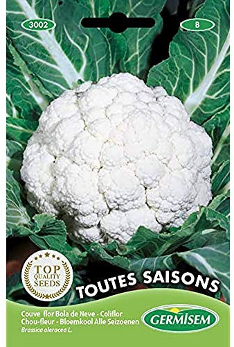 Germisem Toutes Saisons Semillas de Coliflor 2 g (EC3002)