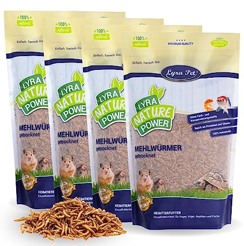 Lyra Pet® 4 × 10 L vers de Farine séchés – Aliment de qualité Premium | Aliment riche en protéines – source d’énergie pour insectivores – vitamines & minéraux – oiseaux sauvages, rongeurs &reptiles