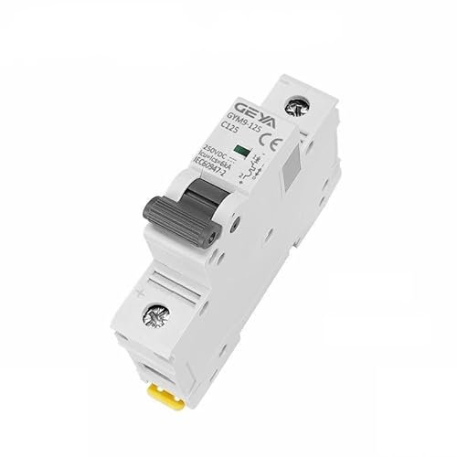 Janmobrian Magnetotermico, Interruttore Differenziale Interruttore Automatico DC MCB 80A 100A 125A 6KA 1P 250VDC Mini Interruttore DIN Rail DC Interruttori GYM9-125(80A)