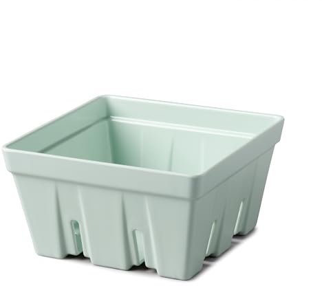 Zeal Fridge Storage Box for Fruits and Berries, Melamine Kitchen Storage Container – Wash and Serve Berry Colander Box, Large 15cm (Sage Green)