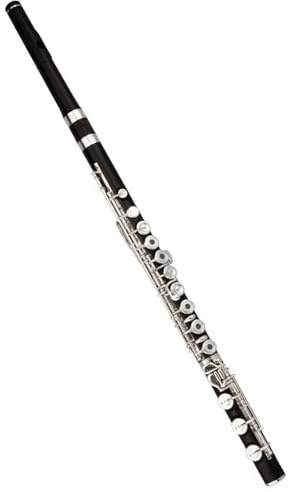 Flöte Professionelle C-Taste 17 offenes Loch Flöte Ebenholz Flöte Instrument mit Koffer und Zubehör Flöte Für Anfänger