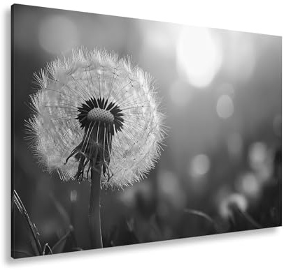 deyoli Leinwandbild Pusteblume im Abendlicht – flüchtige Schönheit des Seins. Format: 120x80cm Effekt:Schwarz&Weiß XXL Kunstdruck Bild auf Keilrahmen/Wandbild/Wohnzimmer Dekoration