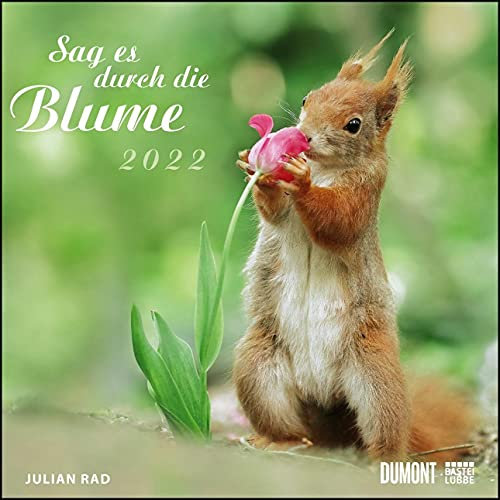 Sag es durch die Blume 2022 – Hamster, Eichhörnchen, Zwiesel in Nahaufnahme – Wandkalender mit Spiralbindung – DUMONT Quadratformat 24 x 24 cm: Wandkalender - DUMONT Quadratformat