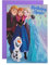 Hallmark Geburtstagskarte – Disney Frozen Design mit Aktivität