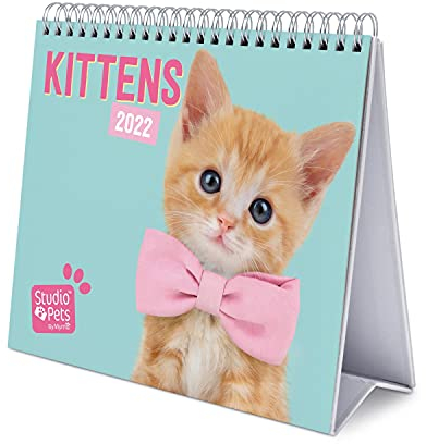 Grupo Erik Tischkalender 2022 - Studio Pets Katze Kalender 2022 Tischkalender - Tischplaner 2022 Planer 2022, CS22012, Hellblau