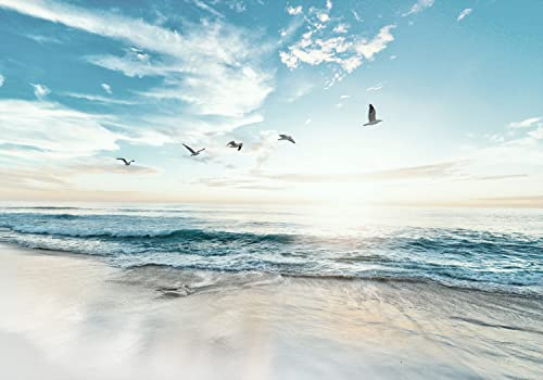 decomonkey Fototapete Meer Vögel 350x256 cm XXL Design Tapete Fototapeten Vlies Tapeten Wandtapete Moderne Wand Schlafzimmer Wohnzimmer Natur Strand Landschaft Himmel Sonne Blau