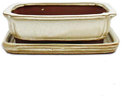 Exotenherz - Bonsai-Schale mit Unterteller Gr. 2 - hellbeige - rechteckig - Modell G12 - L 15,5cm - B 12cm - H 4,5cm