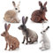 MasYosh Osterhase Figuren, 5 Stück Mini süße Hasenfiguren, Tier Hase Skulptur Ornament, Garten Rasenfiguren, Handwerk Bauernhof Kaninchen Modell Spielzeug, Geschenk für Kinder