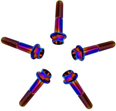 RISON-Titanium Titanschrauben M8x1.25x28mm, Sechskantschraube Flanschschraube in GR5 Titan Luft- und Raumfahrtqualität, Flanschkopf Sechskantschraube für Motorrad und Automodifikationen, 5 Stück