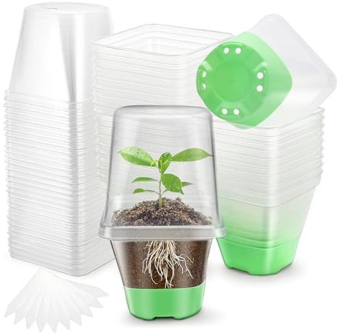 Transparente Pflanztöpfe für Pflanzen, 30 Packungen, Samen-Starttöpfe, 7,9 cm, Kunststoff-Pflanztopf, Sämling-Töpfe mit Drainagelöchern, Pflanztöpfe mit Silikonboden, Samen-Starttopf