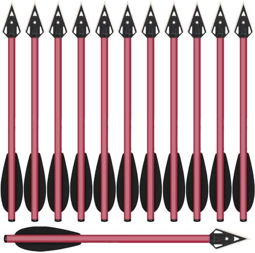 HUNTSPM 6,3 Aluminium Pistole Armbrust Bolzen Pfeile,Mini Armbrustbolzen Armbrustpfeile mit Jagdspitzen Jagdpfeile für 50-80 lbs Pistolenarmbrust Präzisions Zielscheibe Bogenschießen (12stk Red)