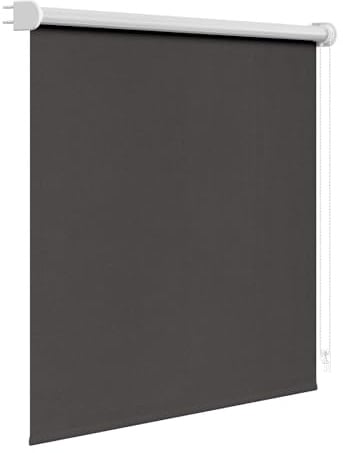 WOLTU Verdunkelungsrollo Thermo mit Schraubmontage 160x160 cm, Anthrazit | Verdunkelungsrollo Innen Rollos für Fenster und Türen, Fensterrollo Hitzeschutz Klemmrollo, Stoffbreite 156 cm